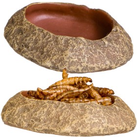 Terrario Rock Oasis XS – 5.5x4x1 cm Bowl